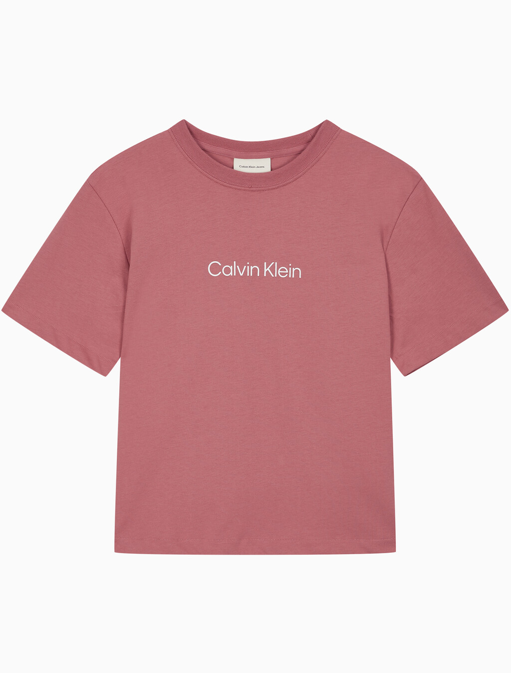 Buy 여성 릴렉스드 스탠다드로고 크루넥 반팔 티셔츠 in color LIGHT MAHOGANY
