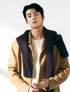 Buy 남성 롱슬리브 울 오버코트 in color TIGERS EYE