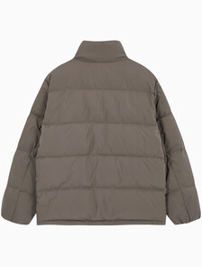 Buy 남성 베이직 에센셜 다운 푸퍼 자켓  in color BROWN