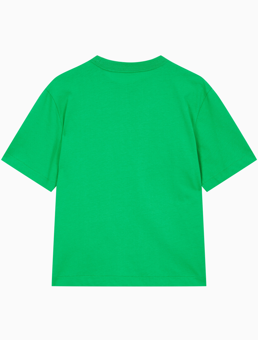 Buy 여성 박시핏 반팔 티셔츠 in color BLOSSOM GREEN