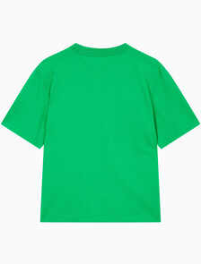 Buy 여성 박시핏 반팔 티셔츠 in color BLOSSOM GREEN