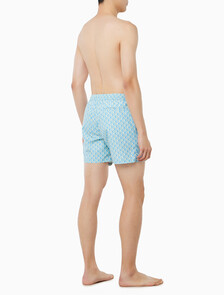 Buy 남성 에센셜 스윔 팬츠 in color Skyblue Print