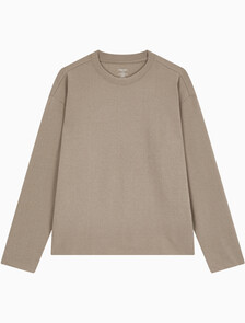 Buy 남성 플러쉬 롱 슬리브 탑 in color BROWN