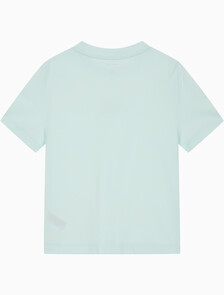 Buy 여성 플럭 로고 반팔 티셔츠 in color MINT JULEP