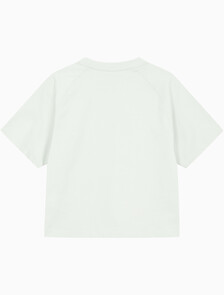 Buy 여성 크롭 반팔 티셔츠 in color MINT