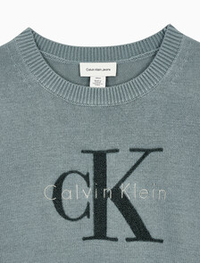 Buy 여성 청키 코튼 그래픽 풀오버 in color Mid Green