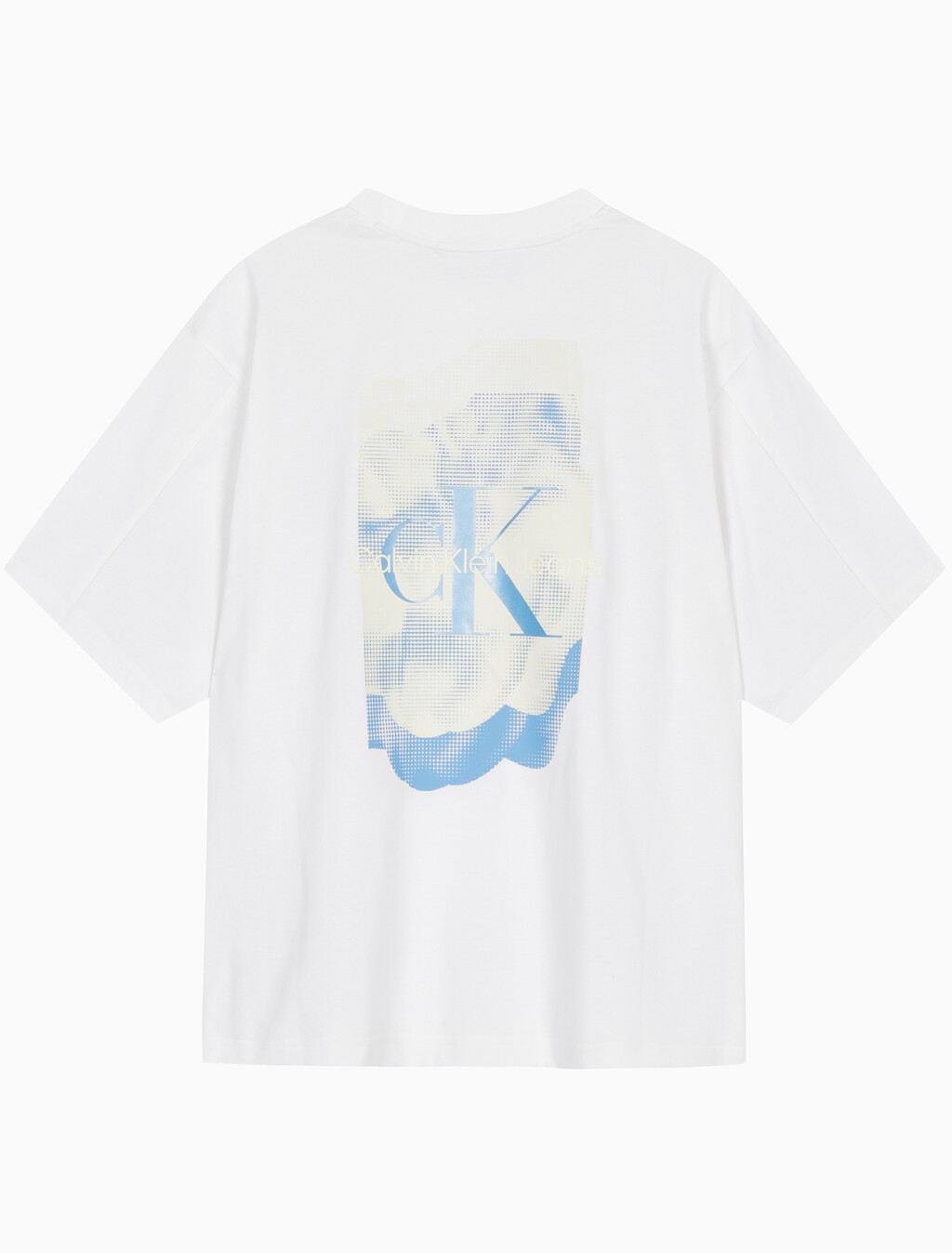 Buy 남성 릴렉스핏 그래픽 기능성 반팔 티셔츠 in color BRIGHT WHITE