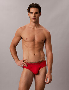 Buy 남성 브러시드 마이크로파이버 스트레치 힙브리프 in color GOJI BERRY W/ BRONZE WB