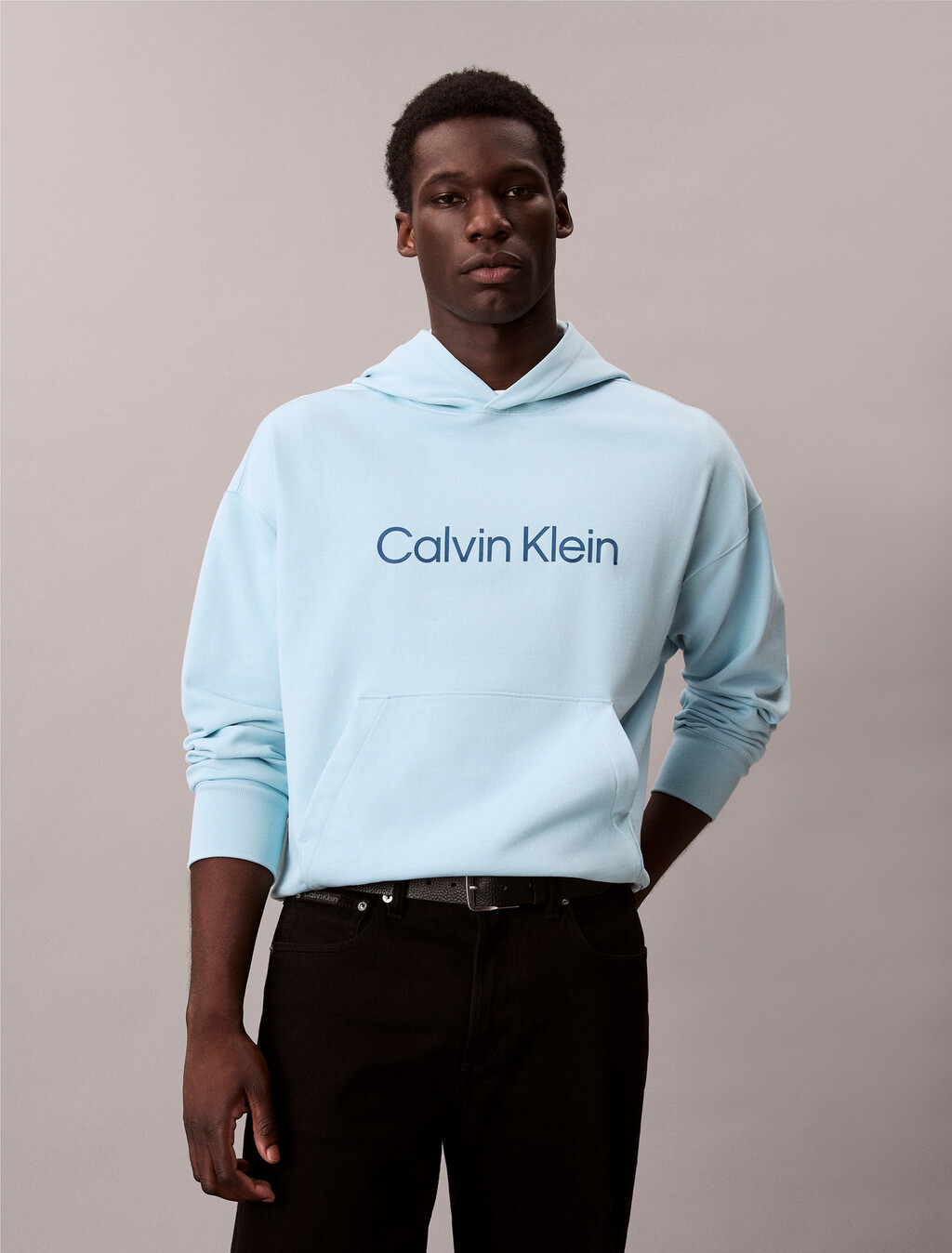 Buy 남성 스탠다드 로고 프리미엄 테리 후디 in color SKY BLUE