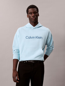 Buy 남성 스탠다드 로고 프리미엄 테리 후디 in color SKY BLUE