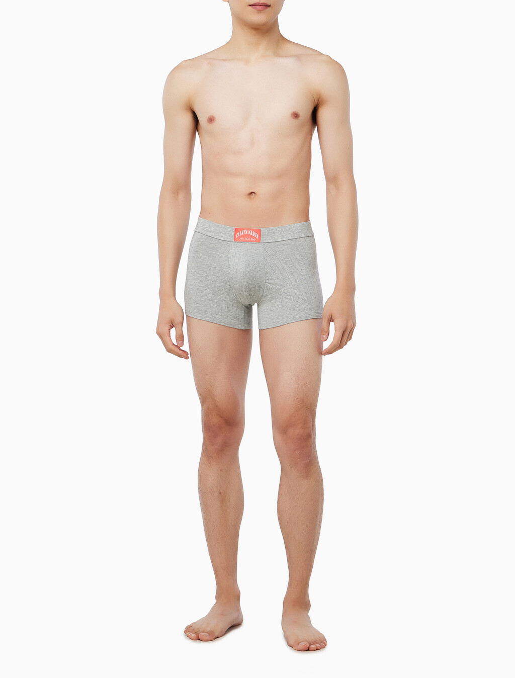 Buy 남성 헤리티지 크레스트 트렁크 in color Grey