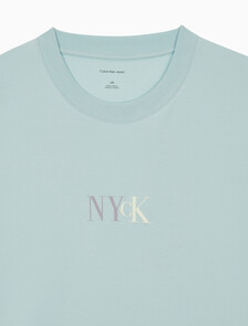 Buy 남성 NYCK 그래픽 반팔 티셔츠 in color HARBOR GRAY