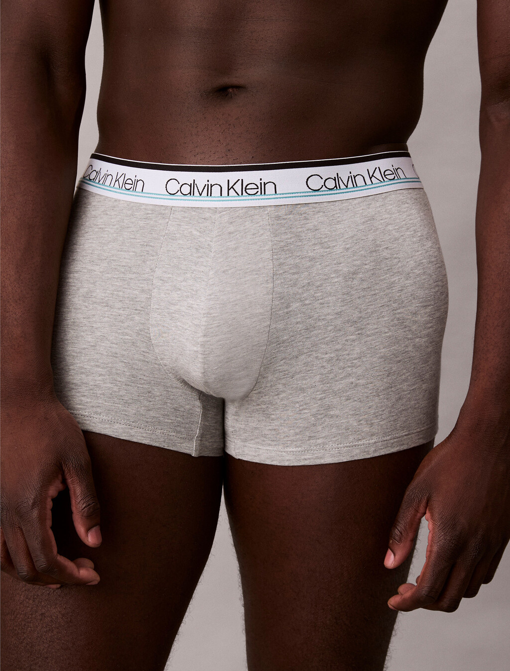 Buy 남성 WB 코튼 스트레치 버라이어티 팩 트렁크 4PK in color mint / grey / black / black 