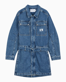 Buy 여성 볼륨 슬리브 데님 드레스 in color MID BLUE BACK EMBRO