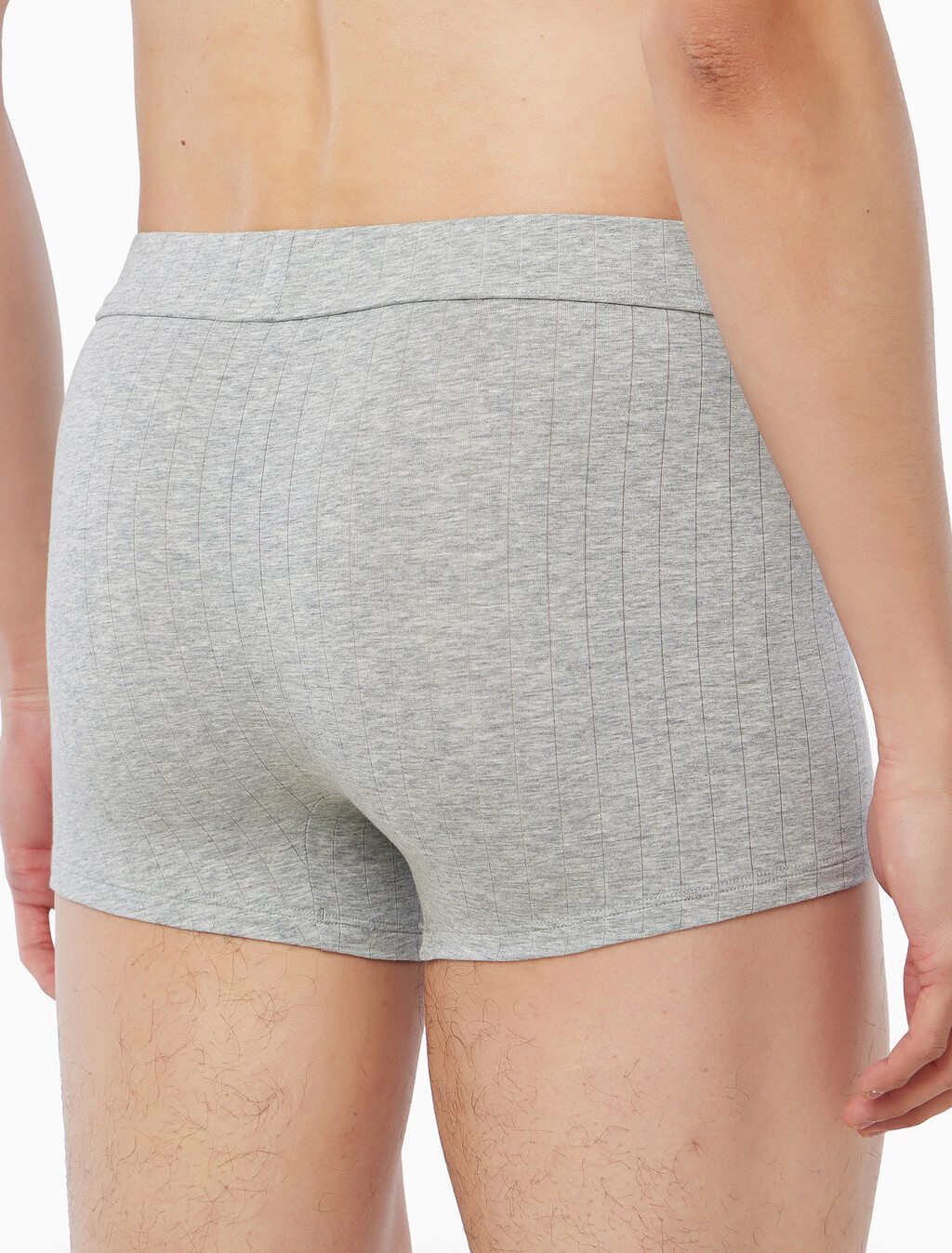 Buy 남성 헤리티지 크레스트 트렁크 in color Grey