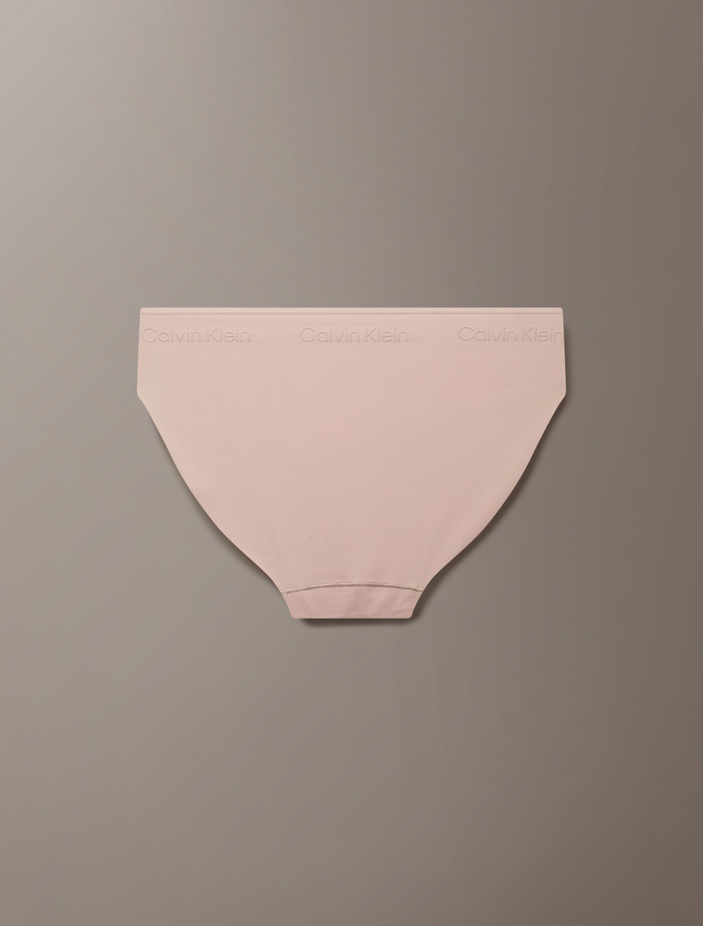 Buy 여성 인비져블 마이크로파이버 스트레치 비키니 in color CEDAR