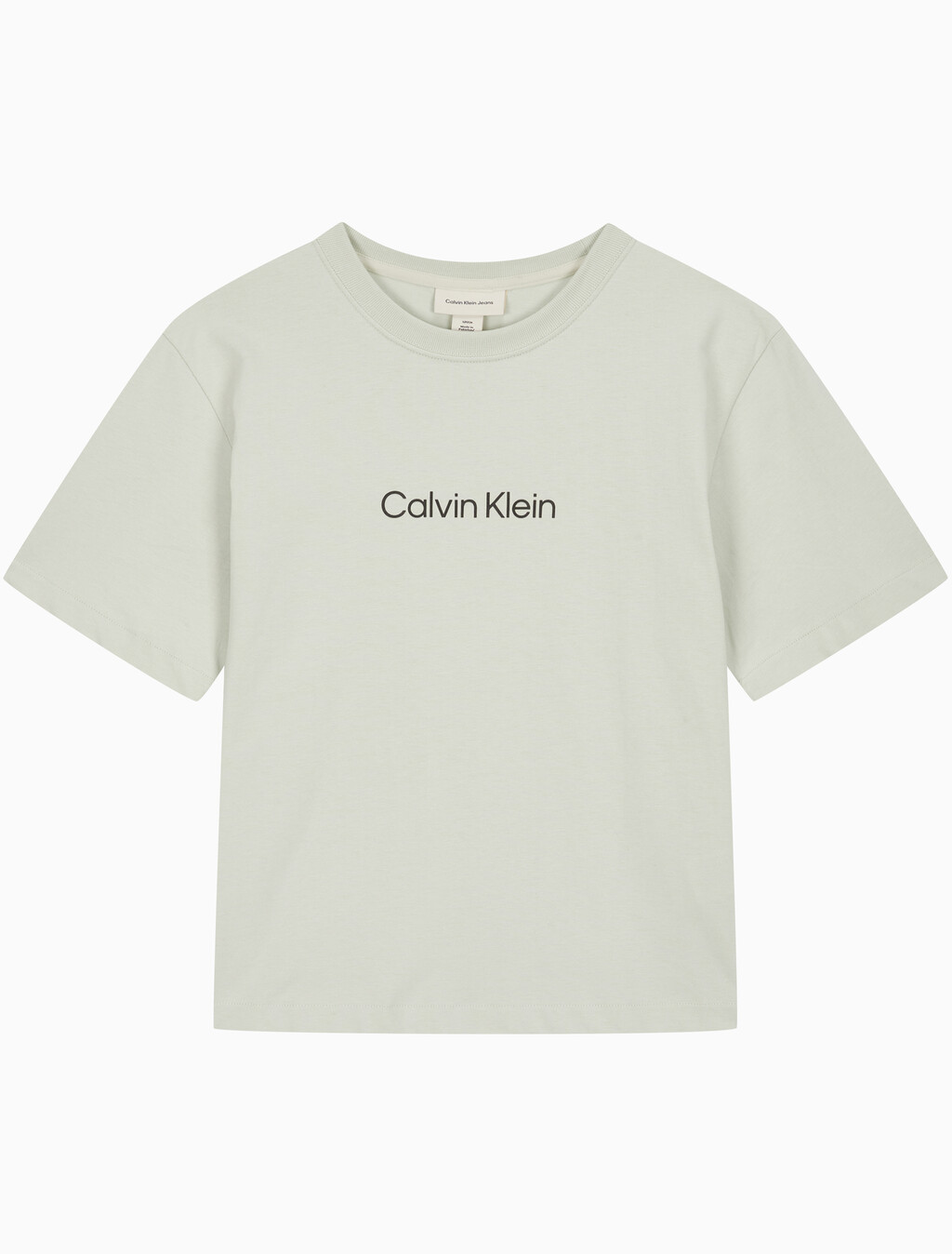 Buy 여성 릴렉스드 스탠다드로고 크루넥 반팔 티셔츠 in color GREEN TINT