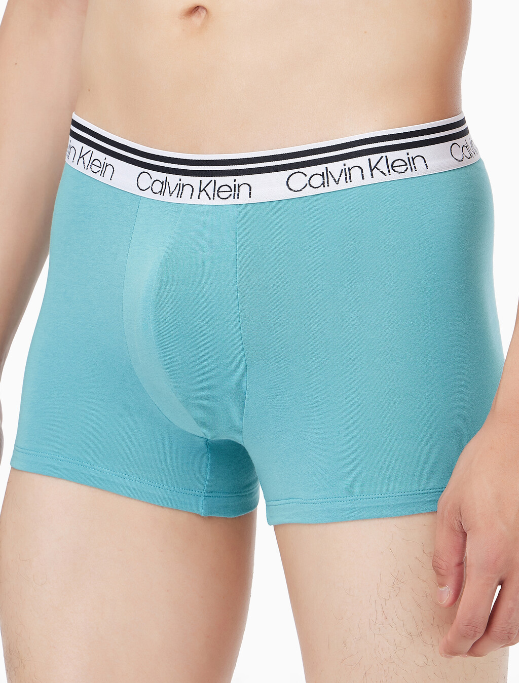 Buy 남성 WB 코튼 스트레치 버라이어티 팩 트렁크 4PK in color mint / grey / black / black 