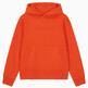 BRONZED ORANGE