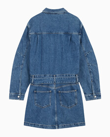 Buy 여성 볼륨 슬리브 데님 드레스 in color MID BLUE BACK EMBRO