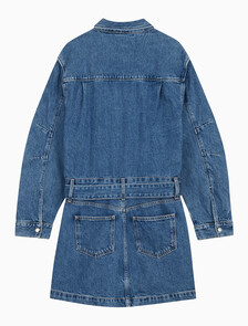 Buy 여성 볼륨 슬리브 데님 드레스 in color MID BLUE BACK EMBRO