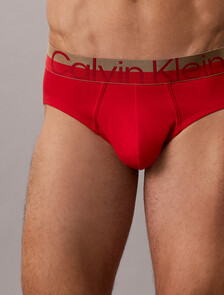 Buy 남성 브러시드 마이크로파이버 스트레치 힙브리프 in color GOJI BERRY W/ BRONZE WB