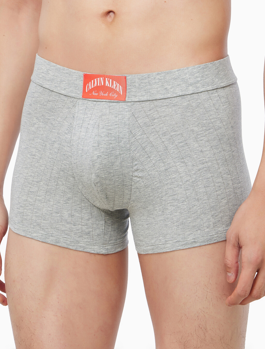 Buy 남성 헤리티지 크레스트 트렁크 in color Grey